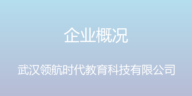 企业概况 - 武汉领航时代教育科技有限公司